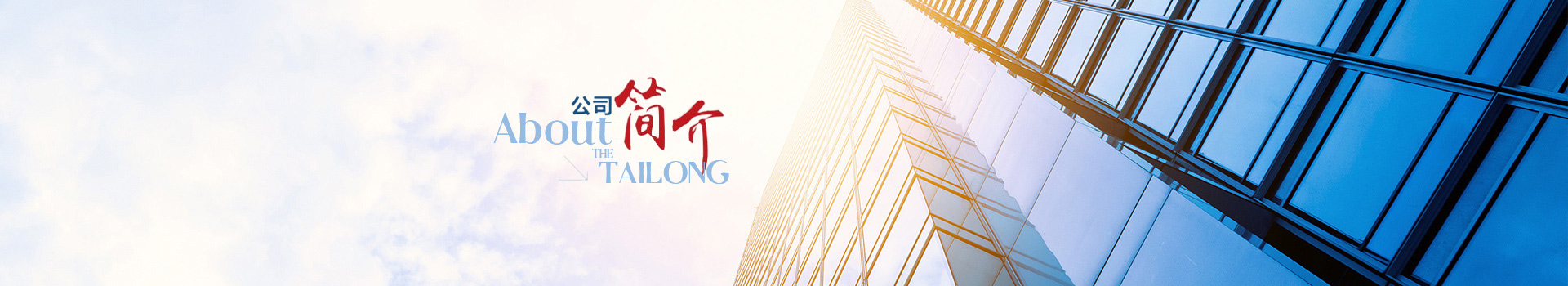 公司簡介